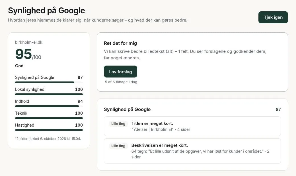 Kundeportalen: Synlighed på Google med en score på 95 ud af 100 og knappen Ret det for mig.
